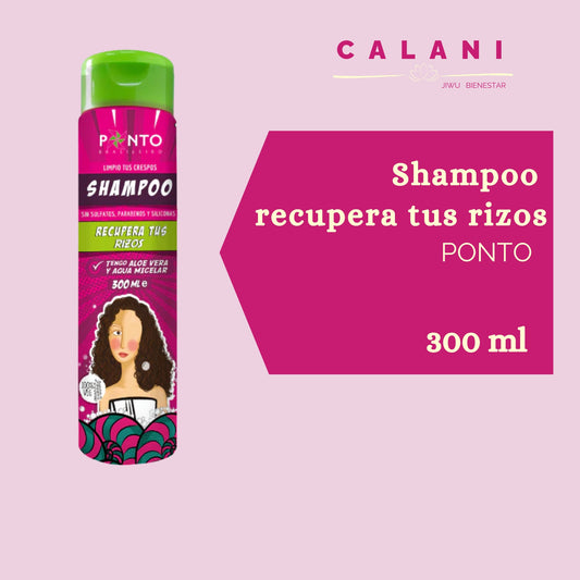 Shampoo Ponto 300ml