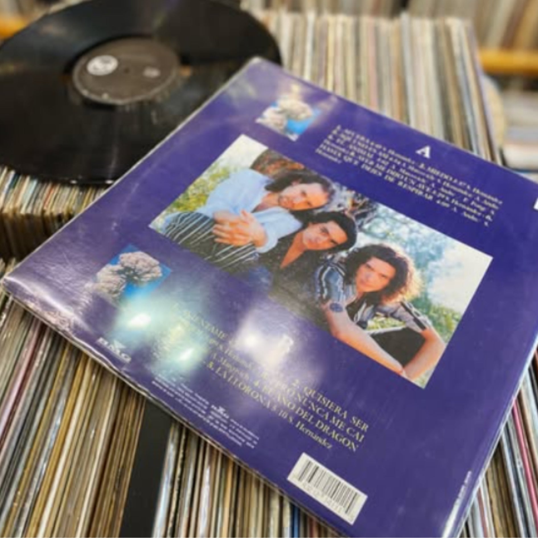 Vinilo El Nervio Del Volcan Caifanes